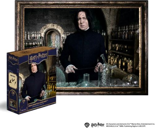 Woods Story Harry Potter Figure Puzzle