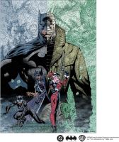Woods Story Batman Figure Puzzle (1)