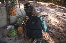 Dakine batoh 365 Pack 21l crabapple (5)