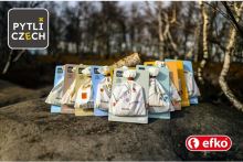 Efko Pytlíczech Eternity - hlavolamy do kapsy (5)