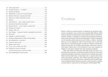 Americké prázdniny (2)