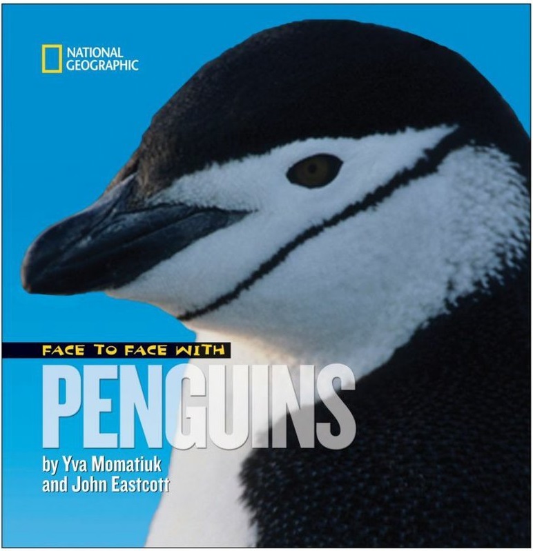 National Geographic kniha Penguins v angličtině