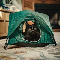 Tiny Tent stan pro zvířátka sky blue (1)